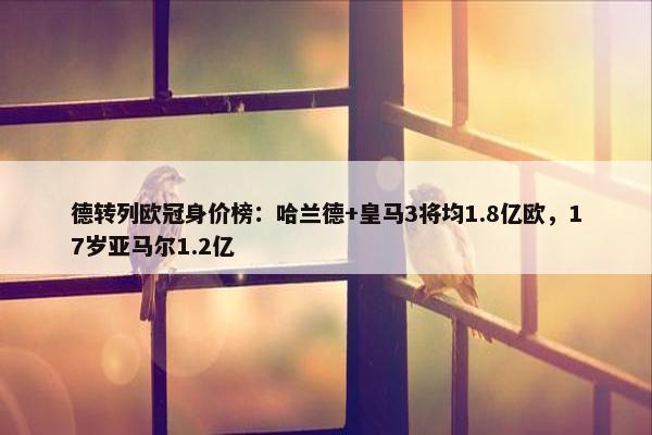 德转列欧冠身价榜：哈兰德+皇马3将均1.8亿欧，17岁亚马尔1.2亿