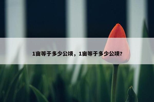 1亩等于多少公顷，1亩等于多少公顷?