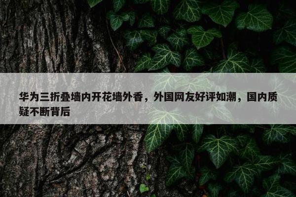 华为三折叠墙内开花墙外香，外国网友好评如潮，国内质疑不断背后