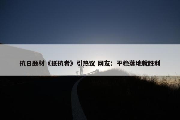 抗日题材《抵抗者》引热议 网友：平稳落地就胜利