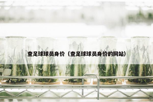 查足球球员身价（查足球球员身价的网站）