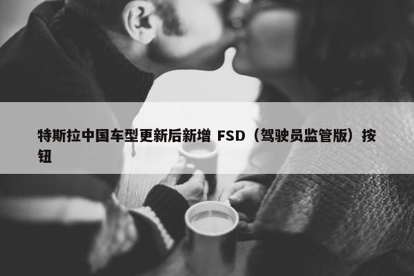 特斯拉中国车型更新后新增 FSD（驾驶员监管版）按钮