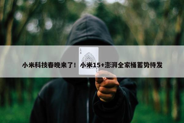 小米科技春晚来了！小米15+澎湃全家桶蓄势待发