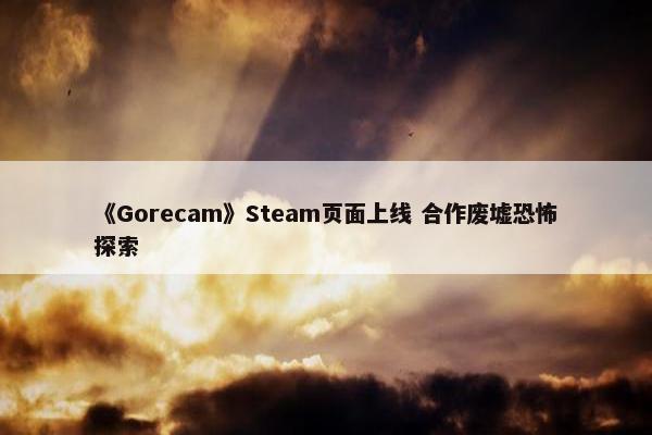 《Gorecam》Steam页面上线 合作废墟恐怖探索