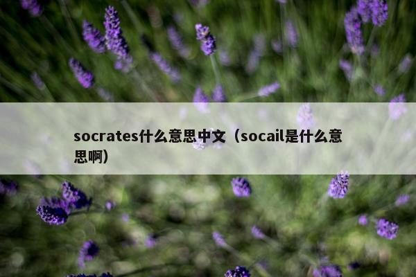 socrates什么意思中文（socail是什么意思啊）