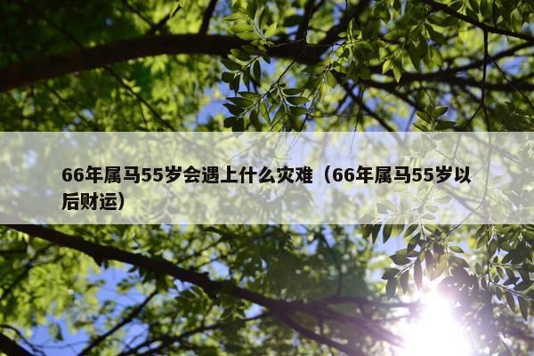 66年属马55岁会遇上什么灾难（66年属马55岁以后财运）