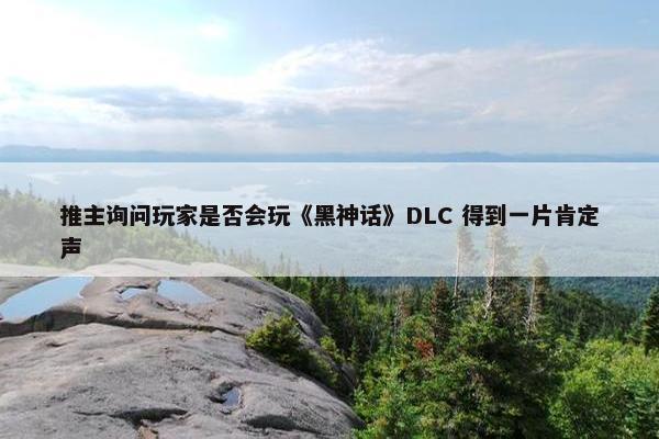 推主询问玩家是否会玩《黑神话》DLC 得到一片肯定声