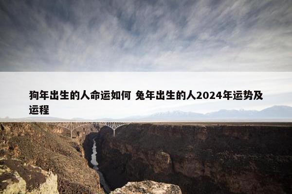 狗年出生的人命运如何 兔年出生的人2024年运势及运程