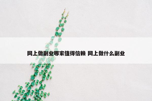 网上做副业哪家值得信赖 网上做什么副业