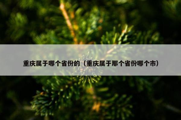 重庆属于哪个省份的（重庆属于那个省份哪个市）