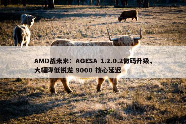 AMD战未来：AGESA 1.2.0.2微码升级，大幅降低锐龙 9000 核心延迟