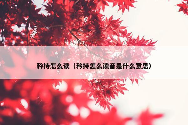 矜持怎么读（矜持怎么读音是什么意思）