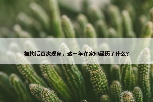 被拘后首次现身，这一年许家印经历了什么？