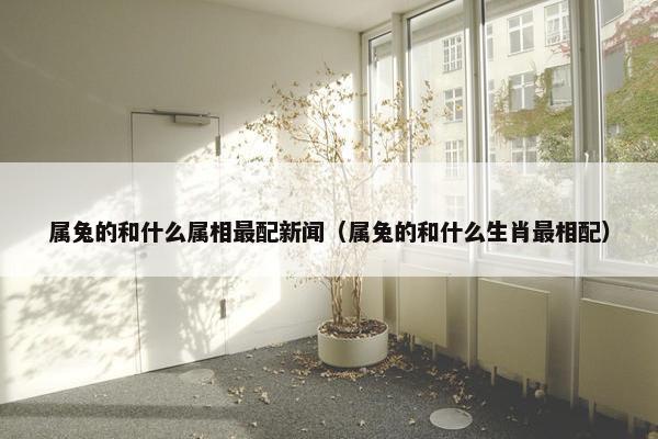 属兔的和什么属相最配新闻（属兔的和什么生肖最相配）