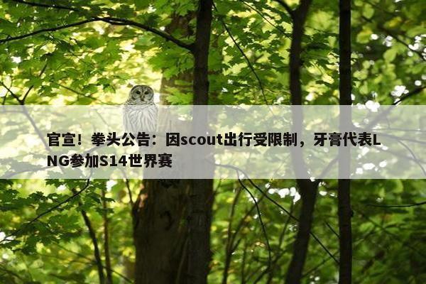 官宣！拳头公告：因scout出行受限制，牙膏代表LNG参加S14世界赛