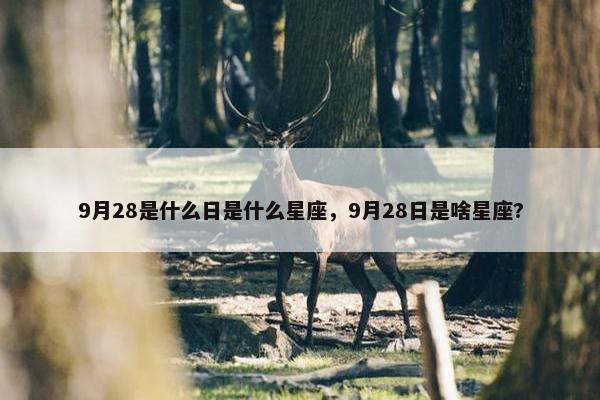 9月28是什么日是什么星座，9月28日是啥星座?