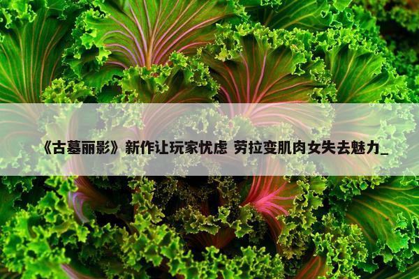 《古墓丽影》新作让玩家忧虑 劳拉变肌肉女失去魅力_