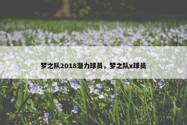 梦之队2018潜力球员，梦之队x球员