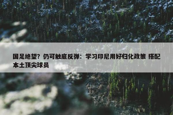 国足绝望？仍可触底反弹：学习印尼用好归化政策 搭配本土顶尖球员