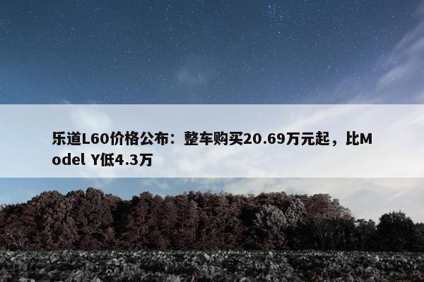 乐道L60价格公布：整车购买20.69万元起，比Model Y低4.3万