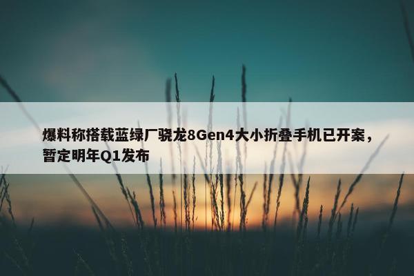 爆料称搭载蓝绿厂骁龙8Gen4大小折叠手机已开案，暂定明年Q1发布