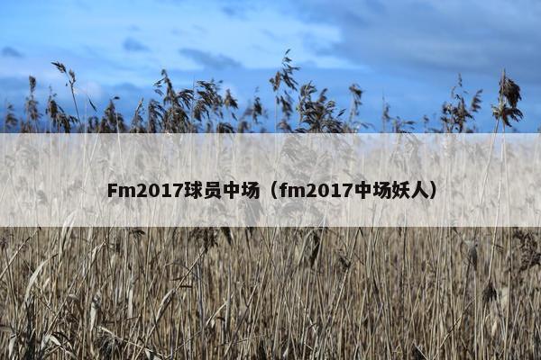 Fm2017球员中场（fm2017中场妖人）