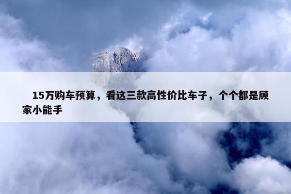 　15万购车预算，看这三款高性价比车子，个个都是顾家小能手