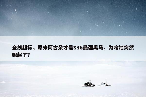 全线超标，原来阿古朵才是S36最强黑马，为啥她突然崛起了？