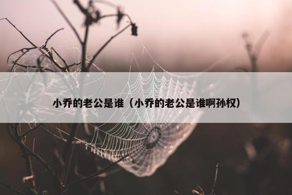 小乔的老公是谁（小乔的老公是谁啊孙权）