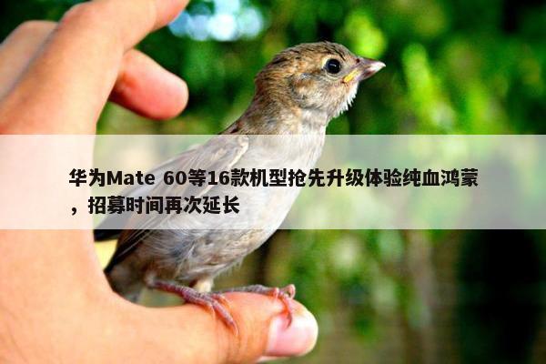 华为Mate 60等16款机型抢先升级体验纯血鸿蒙，招募时间再次延长