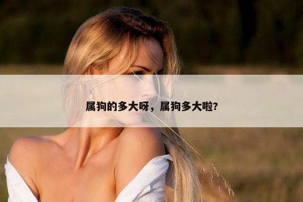 属狗的多大呀，属狗多大啦?