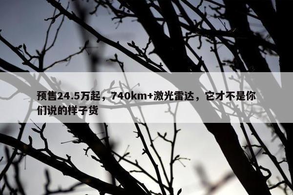 预售24.5万起，740km+激光雷达，它才不是你们说的样子货