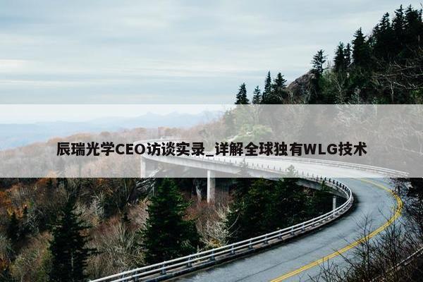 辰瑞光学CEO访谈实录_详解全球独有WLG技术