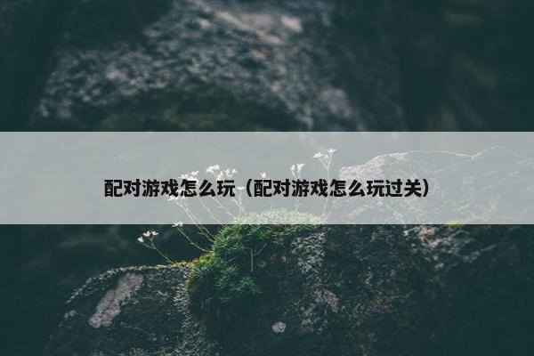 配对游戏怎么玩（配对游戏怎么玩过关）