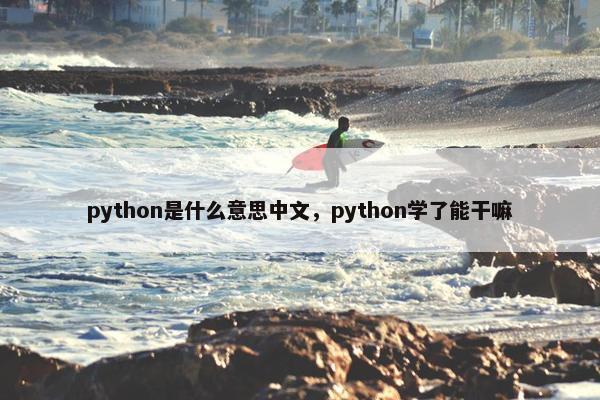 python是什么意思中文，python学了能干嘛