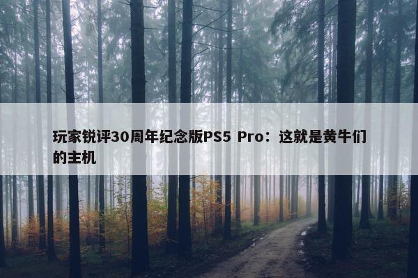 玩家锐评30周年纪念版PS5 Pro：这就是黄牛们的主机