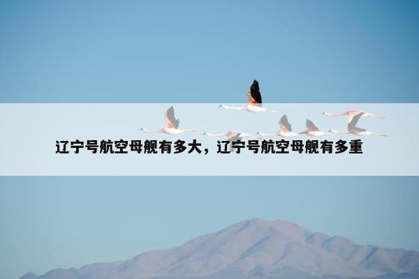 辽宁号航空母舰有多大，辽宁号航空母舰有多重