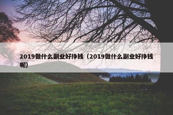 2019做什么副业好挣钱（2019做什么副业好挣钱呢）