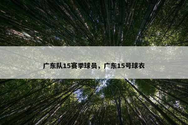 广东队15赛季球员，广东15号球衣