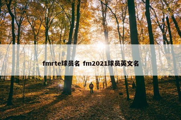 fmrte球员名 fm2021球员英文名