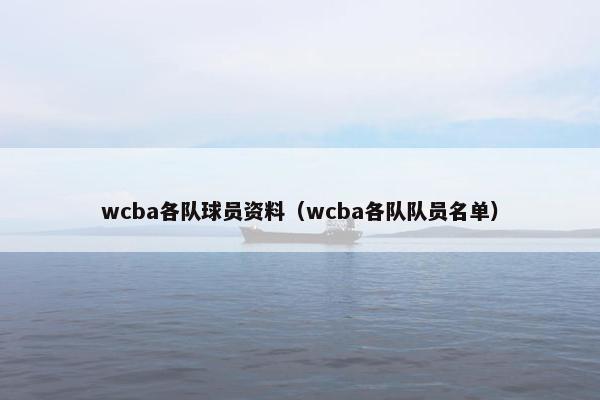 wcba各队球员资料（wcba各队队员名单）