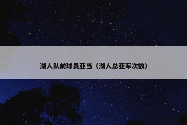 湖人队前球员亚当（湖人总亚军次数）