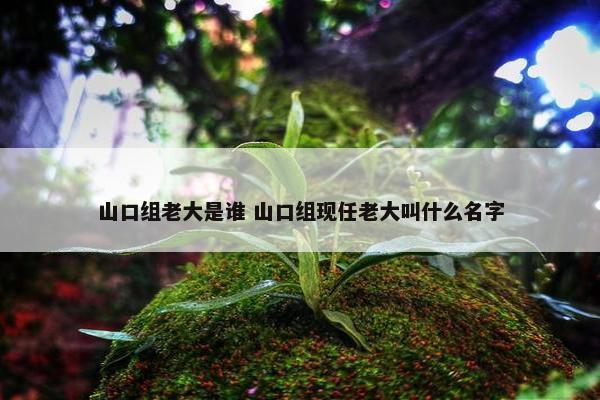 山口组老大是谁 山口组现任老大叫什么名字