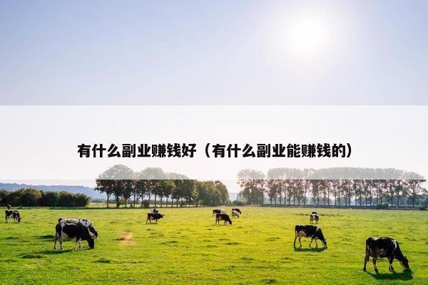 有什么副业赚钱好（有什么副业能赚钱的）