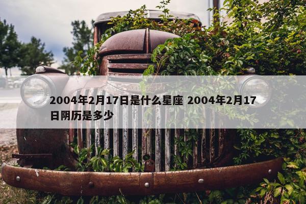 2004年2月17日是什么星座 2004年2月17日阴历是多少