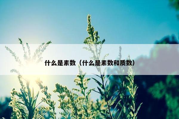 什么是素数（什么是素数和质数）