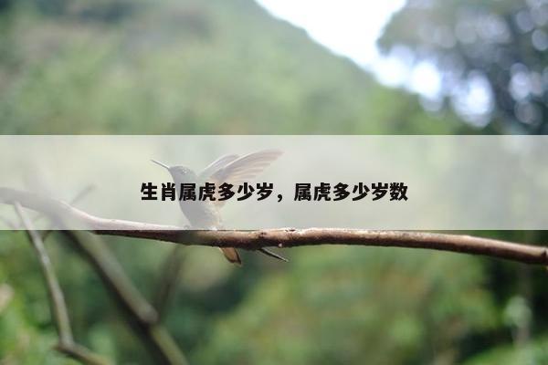 生肖属虎多少岁，属虎多少岁数