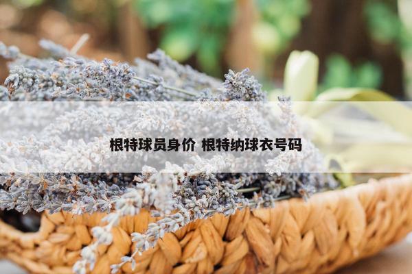 根特球员身价 根特纳球衣号码