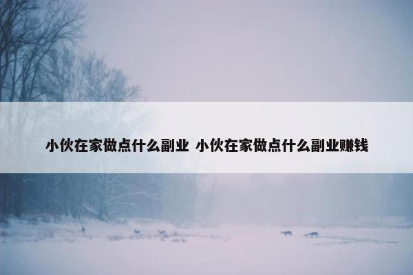 小伙在家做点什么副业 小伙在家做点什么副业赚钱