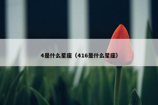 4是什么星座（416是什么星座）